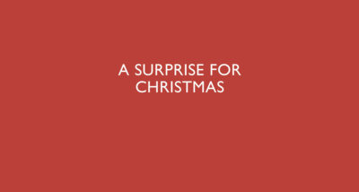 a surprise for christmas martin edwards book review main logo