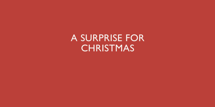 a surprise for christmas martin edwards book review main logo