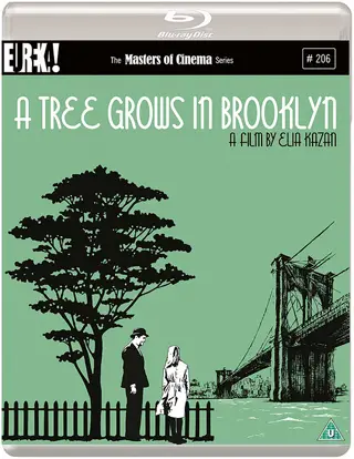 a tree grows in brooklyn film review cover