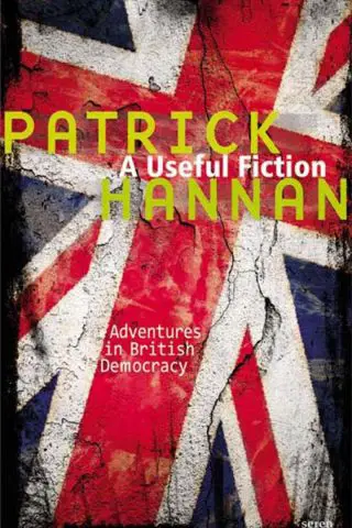 a useful fiction patrick hannan book review cover