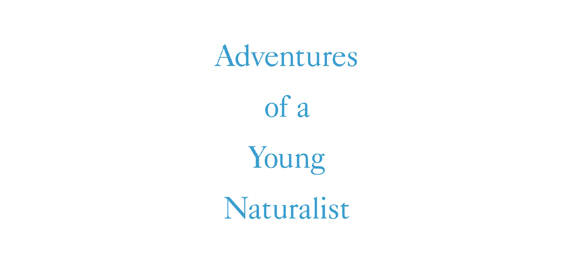 adventures of a young naturalist david attenborough book review logo