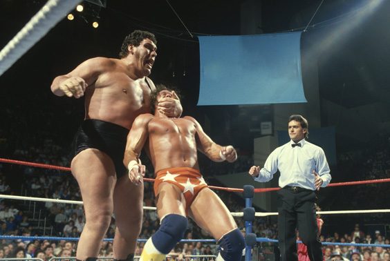 andre the giant dvd review wrestling