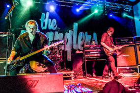 baz warne interview stranglers live