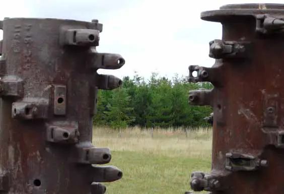 bentley community woodland doncaster walk sculptures