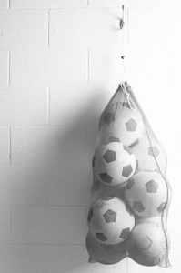 soccer footballs in net