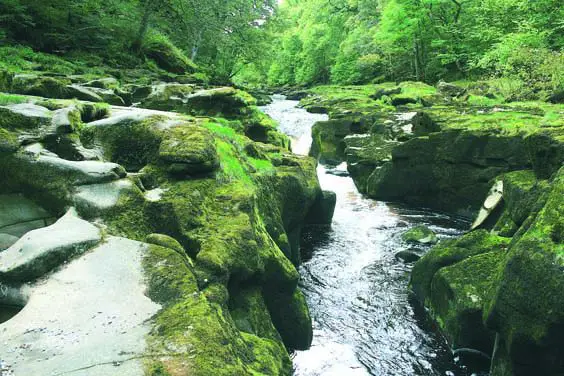 bolton abbey walk strid