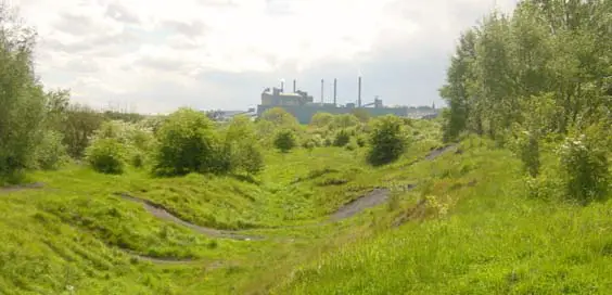 carlton colliery reclaimed land