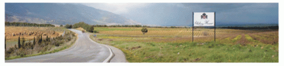 road in lebanon chateau musar vineyard