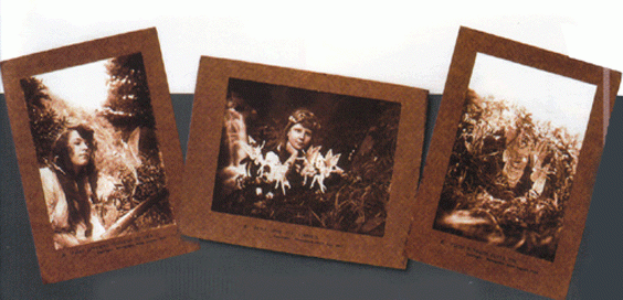 cottingley fairies pictures