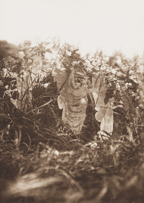 cottingley fairies sun bath