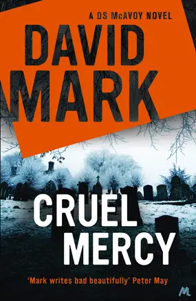cruel mercy review by david mark
