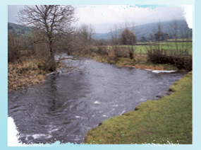 river dee