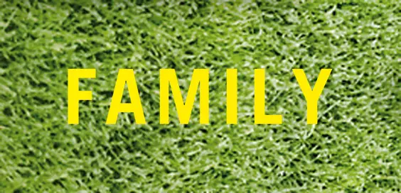 family michael calvin book review logo