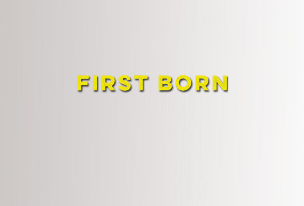first born will dean book review logo
