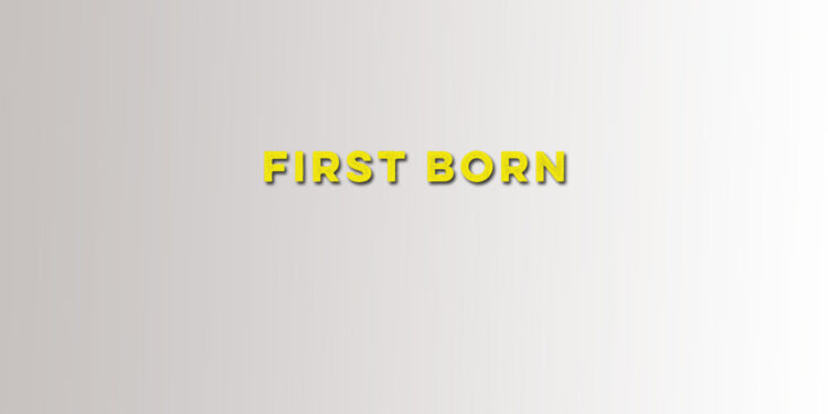 first born will dean book review logo