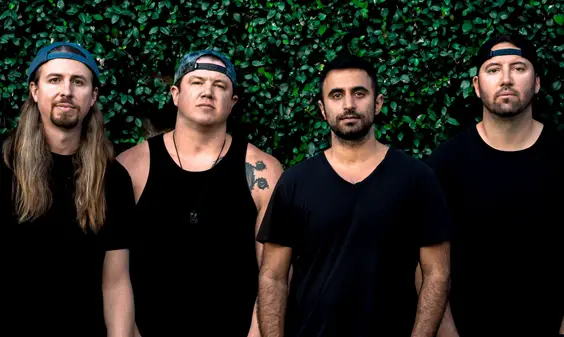 free rein rebelution album review band