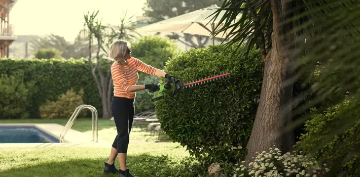 greenworks hedgetrimmer gadget review battery hedge