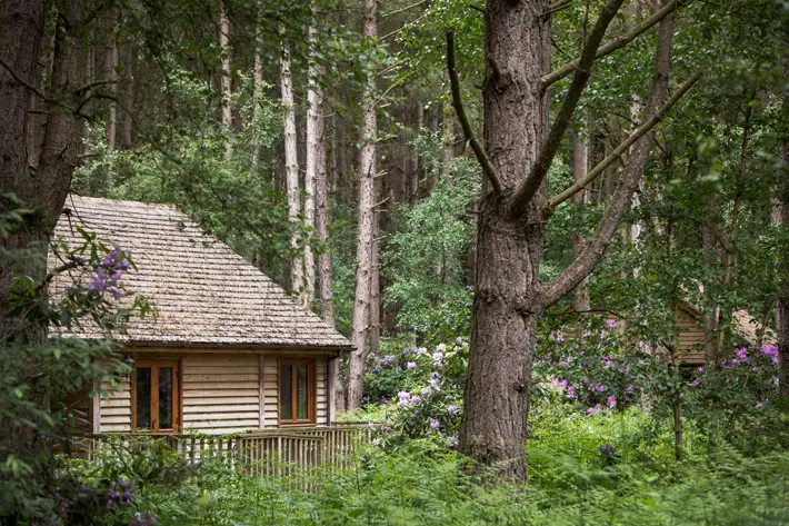 griffon forest lodges flaxton york review lodge