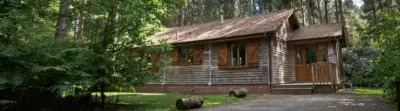 griffon forest lodges flaxton york review main