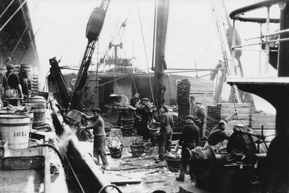 historic hull Hull Fish Quay