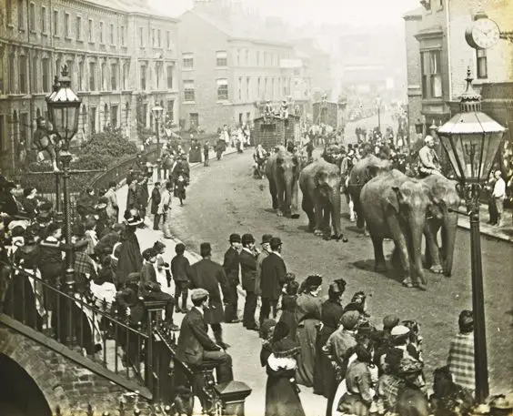 historic scarborough in old photographs circus elephants