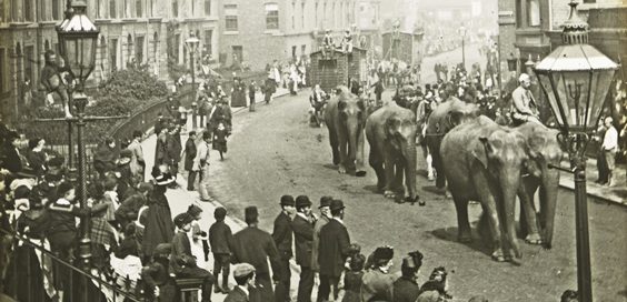 historic scarborough in old photographs circus in town