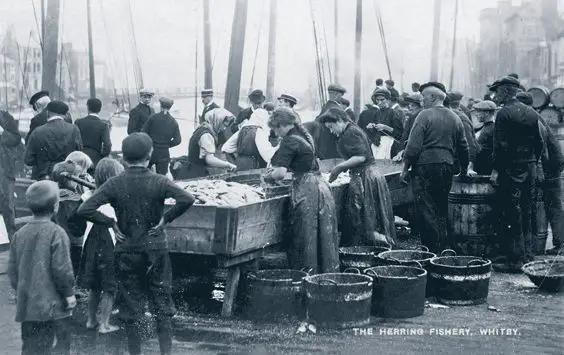 historic whitby photos 'gipping' herrings