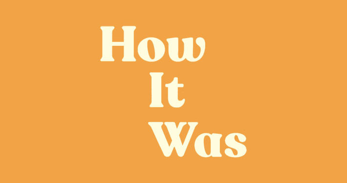 how it was janet ellis book review