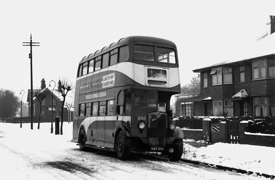 hull corporation buses AEC Regent II with Weymann H60R bodies. No. 255 at Wymersley Road in February 1954. (A.Cross)