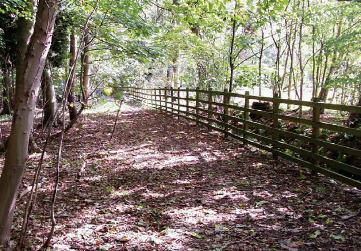 ilkley wood walk middleton