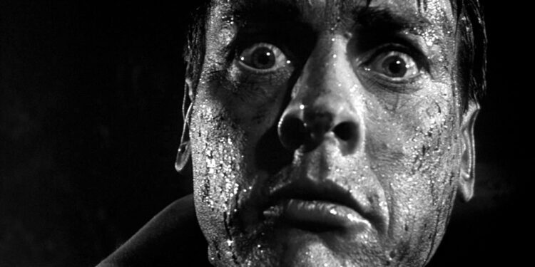 invasion of the bodysnatchers film review bluray