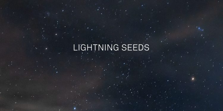 lightning seeds see you in the stars album review logo