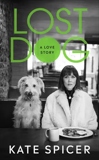 lost dog kate spicer book review cover