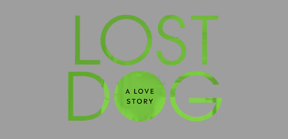 lost dog kate spicer book review logo main