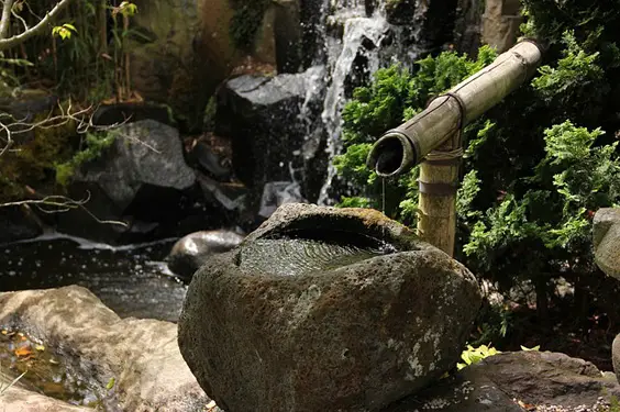 must-buy spring garden items water feature