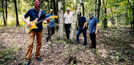 nick lowe los straitjackets live review pocklington arts centre june 2019 main