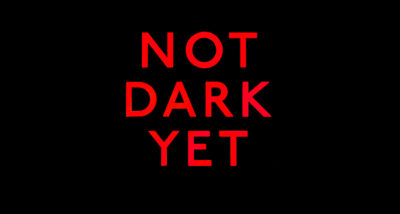 not dark yet peter robinson book review main logo