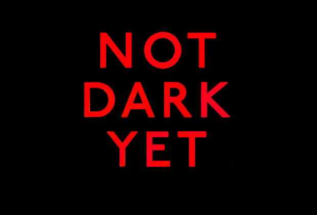 not dark yet peter robinson book review main logo