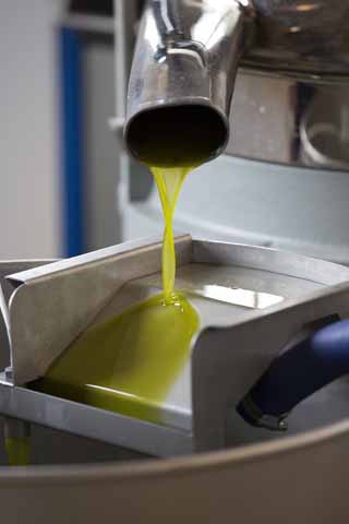 olive oil evoo tips and advice factory manufacturing pouring