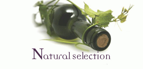 natural biodynamics yorkshire organic wine