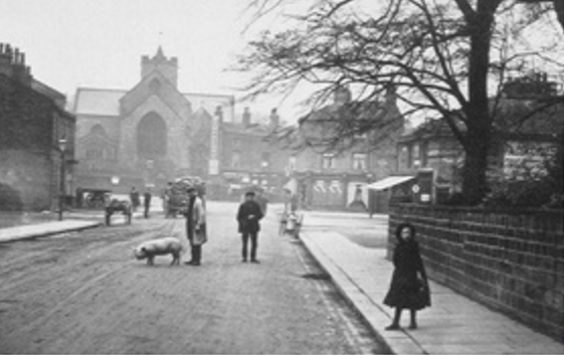 otley history pig