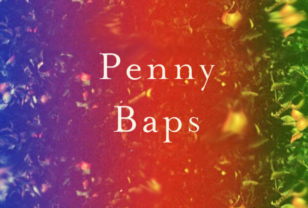 penny baps kevin doherty book review logo