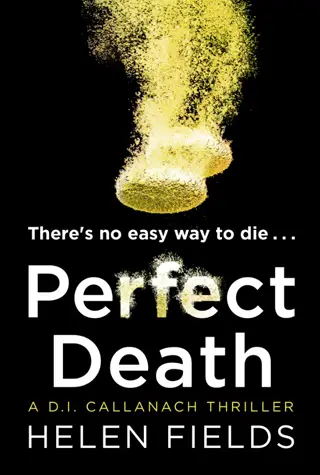 perfect death helen fields book review cover