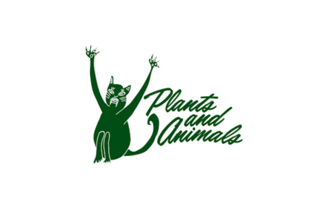 plants and animals the jungle album review logo
