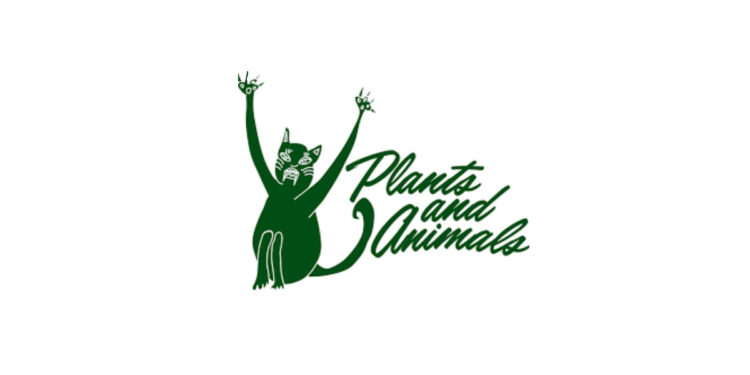 plants and animals the jungle album review logo