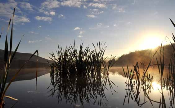 rabbit ings walk sunrise