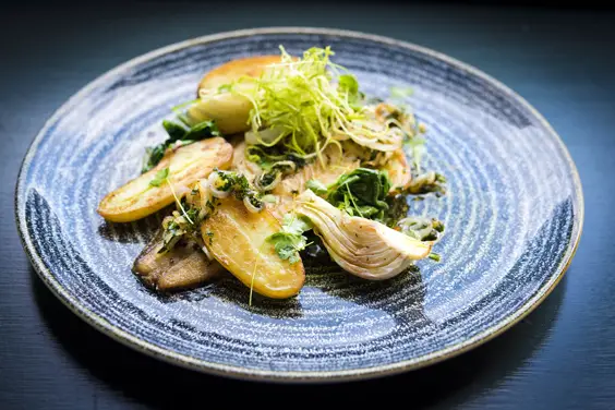 refectory principal york restaurant review plaice