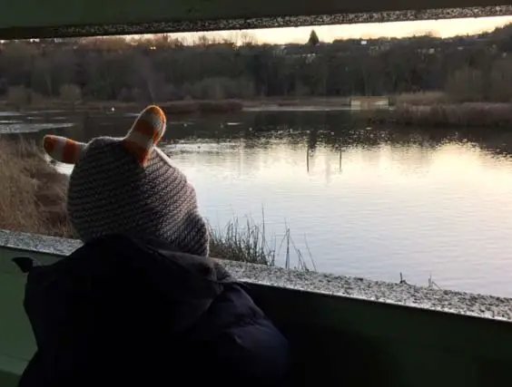 rodley nature reserve leeds walk lake