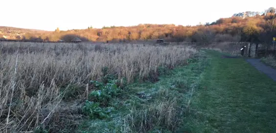 rodley nature reserve walk scenery