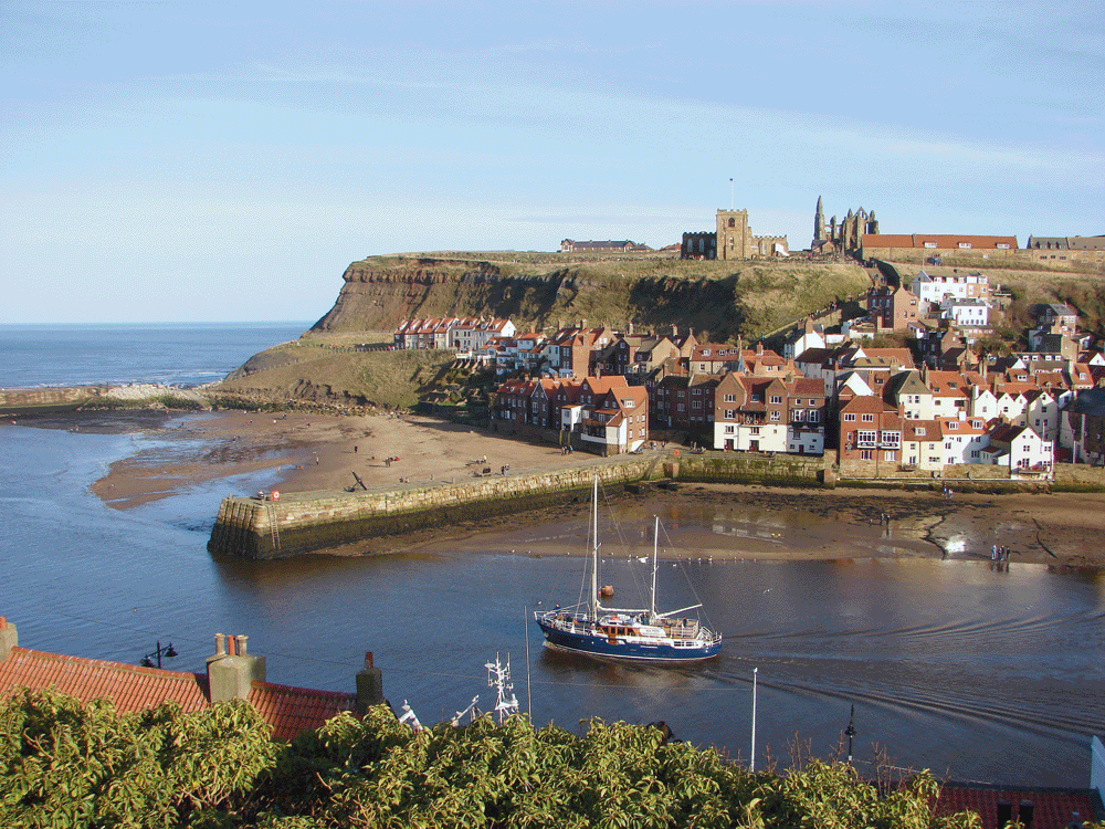 whitby east cliff new